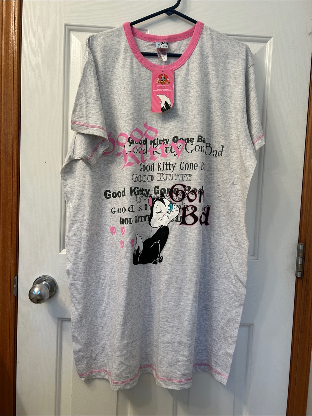 Warner Bros. Precious/pussyfoot kitty Light Gray Nightgown with Pink trim